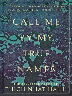 cover image of Call Me by My True Names